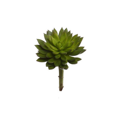 Sharpe 8" Tall Artificial Succulent