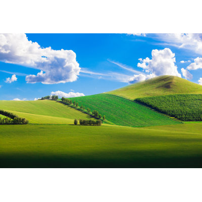 Summer Prairie by Fzant - Wrapped Canvas Print