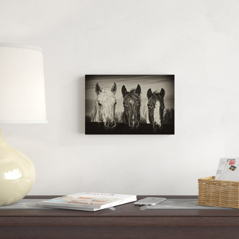 Three Amigos I par P.H. Burchett - Photographie sur toile tendue, H 8 po x l 12 po x P 1,25 po