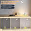 Metal Desk Lamp