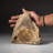 Giant Genuine Megalodon Shark Tooth In Matrix From Indonesia