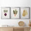 Organic Veg Ix - Ensemble de 3 cadres photo-1427840728-1427840729