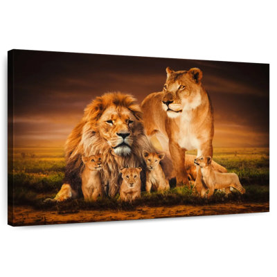 Lion Family