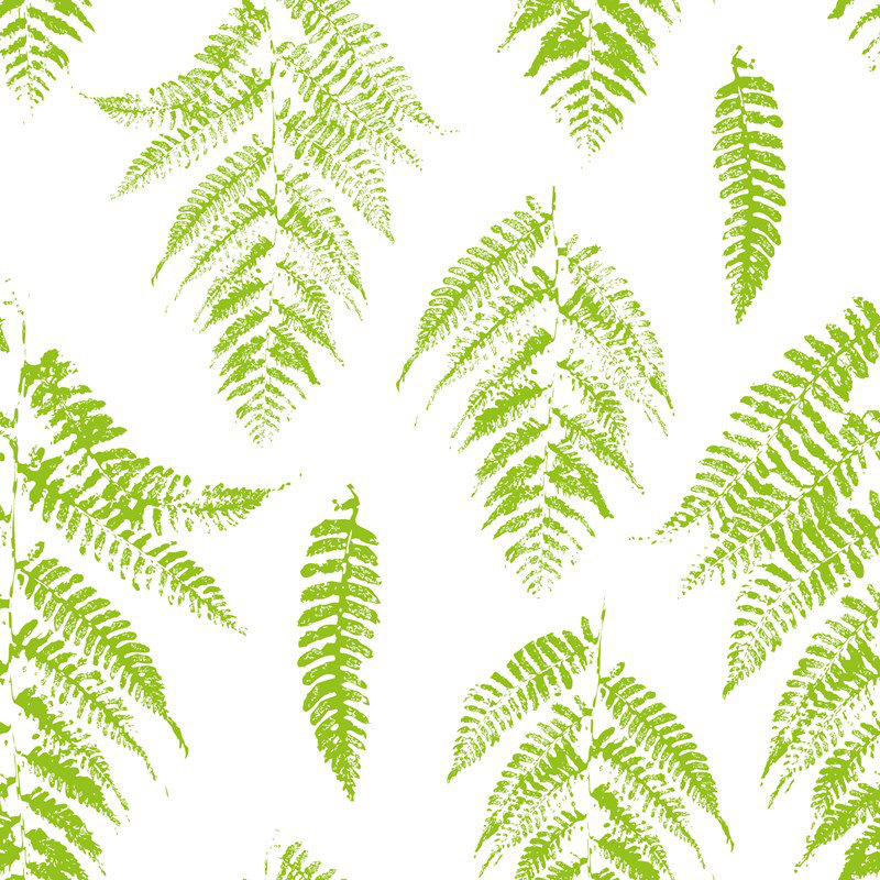 Tayeb Matte Wallpaper Roll, 250 x 250cm