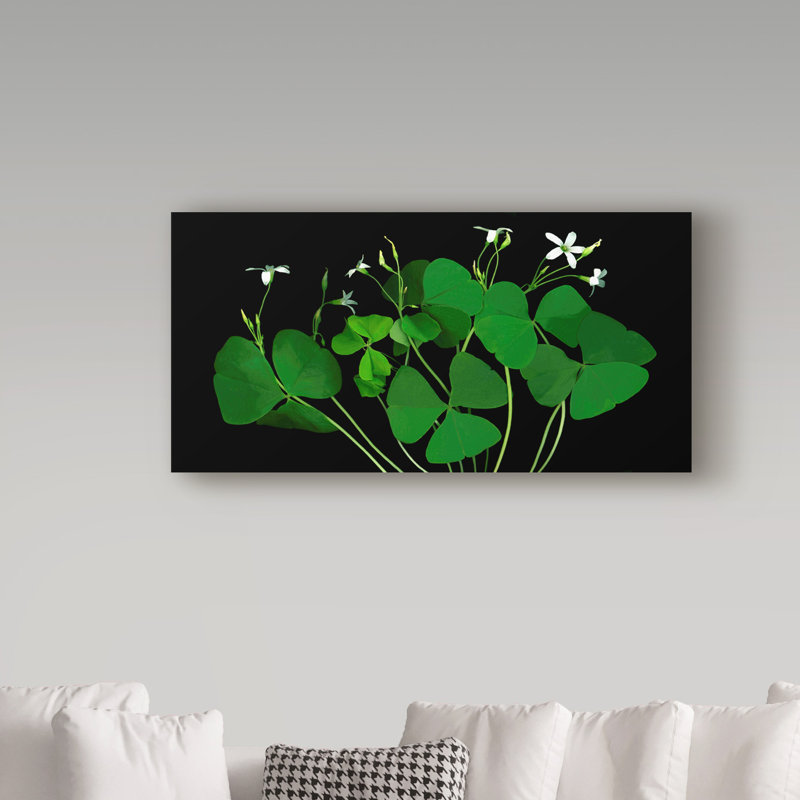 «Shamrocks» par Dosta, impression sur toile tendue, H 24 po x l 47 po x P 2 po