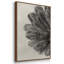 Blossfeldt Botanical III 3 pièces-2023322002-2023322000