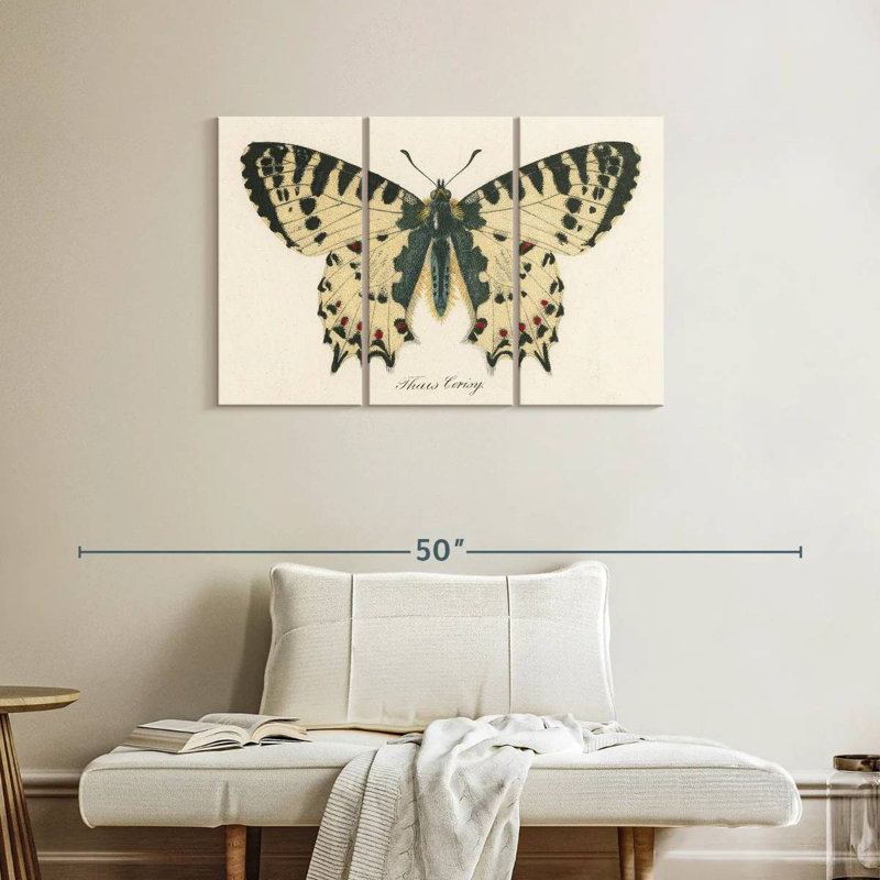 Brampt Natures Butterfly I, 24" H x 38" W