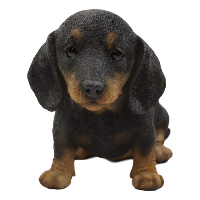 Tilly réaliste adorable chiot teckel