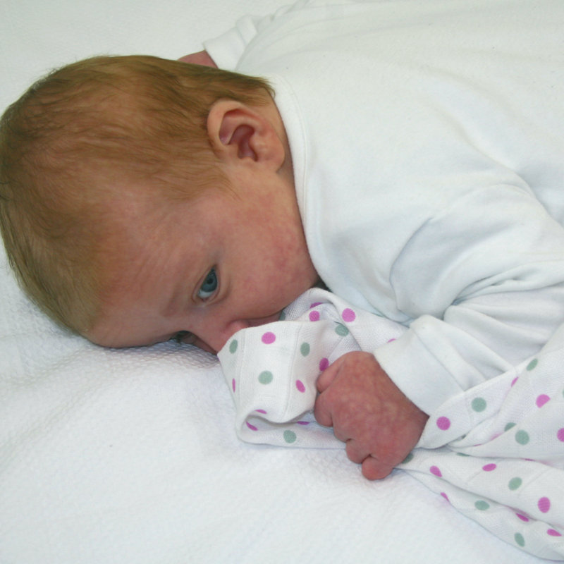 Losurdo Cotton Swaddle, Violet