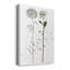 «Botany Flower IV», impression sur toile tendue-650470873
