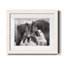 Chevaux sauvages - Photographie avec cadre photo-2049960919-2049960875