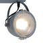 Roark Ceiling Spotlight