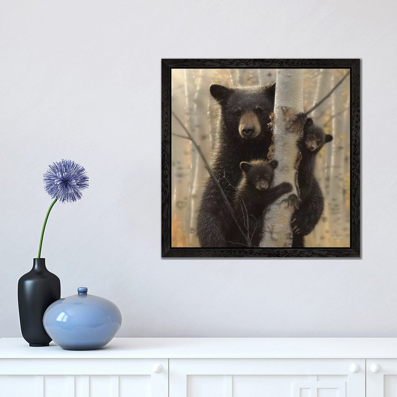 Mama Black Bear, Square by Collin Bogle - Floater Frame Print on Canvas, Black, 66.04 cm H x 66.04 cm W