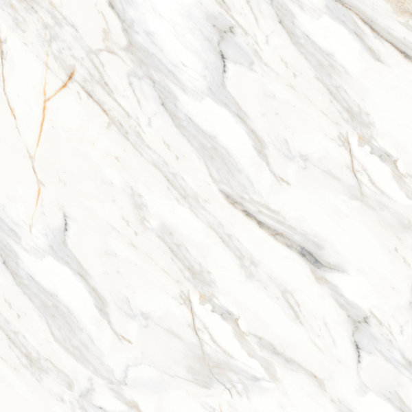 Shandar 48" x 48" Porcelain Marble Look Wall Floor Use Tile in Arezzo Bianco