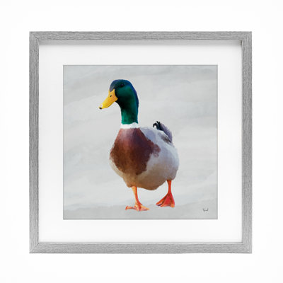 «Mallard Duck Squawking», reproduction encadrée sous verre, conception de Renel Peters