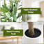 Olive artificielle en pot 5 pi / 6 pi / 7 pi