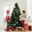 Christmas Nutcracker