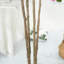 Arbre artificiel avec de vraies feuilles de touche, plante de bougainvillée verte-112839088