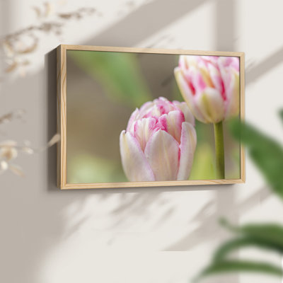 Rosé - impression encadrée - réversible