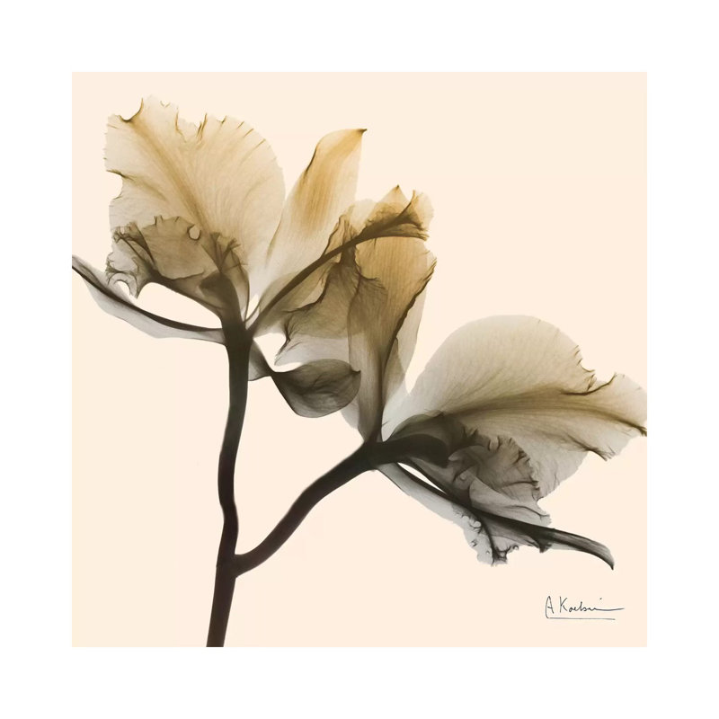 Neutral Twins I by Albert Koetsier - Wrapped Canvas Print, 30.48 cm H x 30.48 cm W