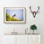 Lone Atlantic Puffin - Picture Frame Painting Print-55580809-55580810