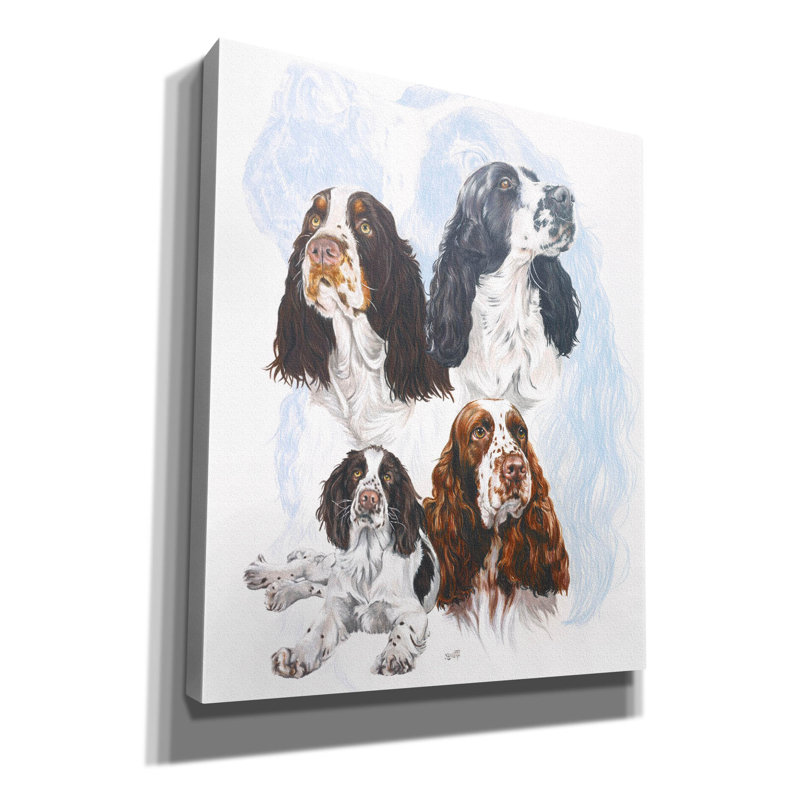 «Springer Spaniel» par Barbara Keith, art mural sur toile, H 26 po x l 20 po x P 0,75 po