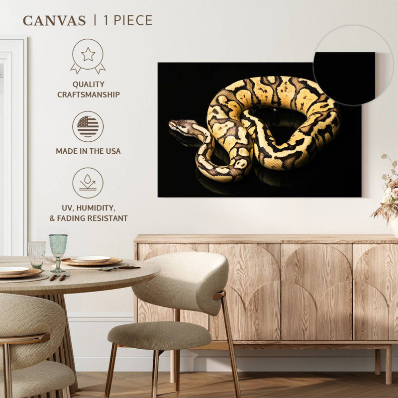 Brampt Female Python Snake, 24" H x 36" W