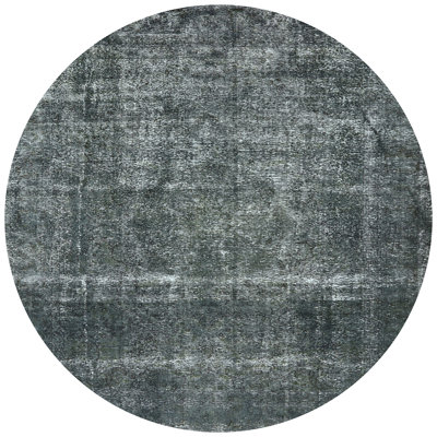 Oriental Indoor Rug
