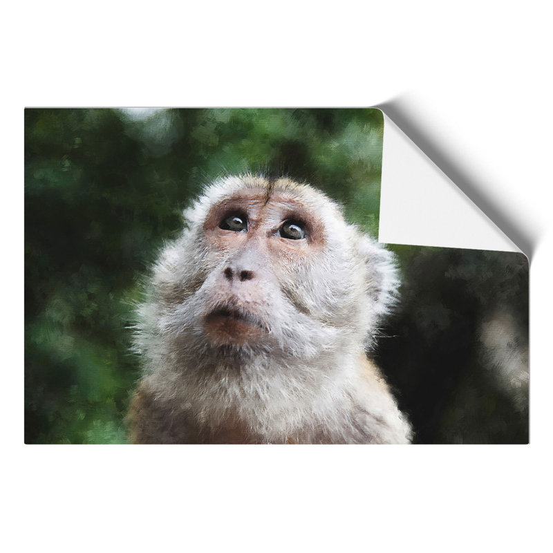 Macaque Monkey Painting - Frameless Print, 21cm H x 30cm W x 0.1cm D