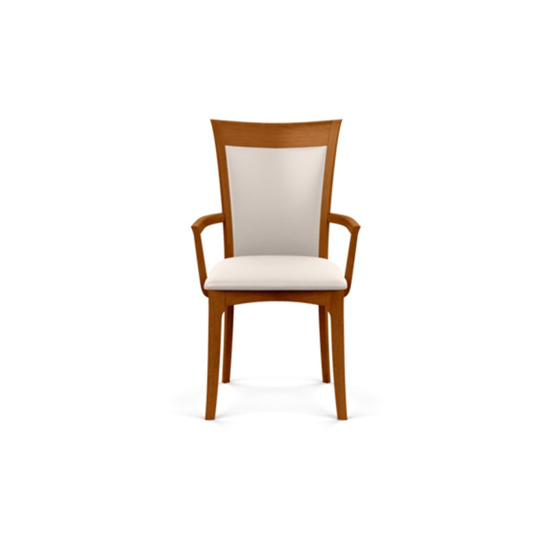 Morgan 19.25'' H Upholstered Armchair, Autumn Cherry, White
