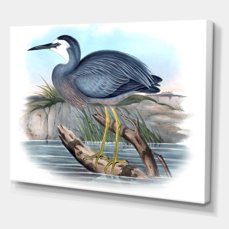 Oiseaux australiens rétro II - impression sur toile, H 16 po x l 32 po x p 1 po, Toile tendue