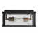 Hinkley Monte Small Flush Mount