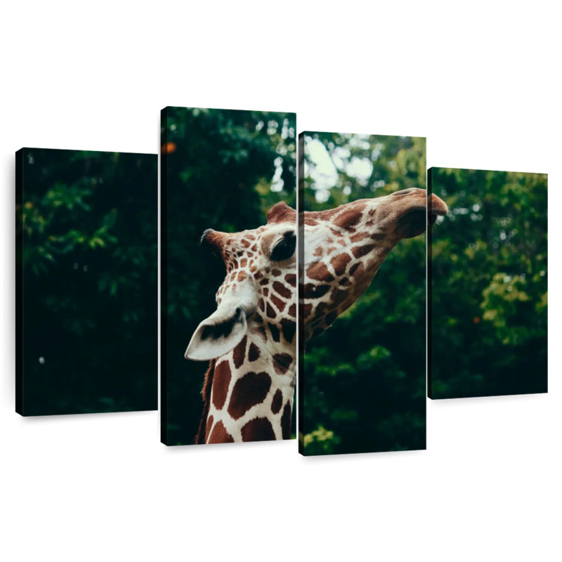 Gros plan d'une tête de girafe Brampt, H 22 po x l 36 po