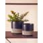 Aneria Pot Planter-1223021846