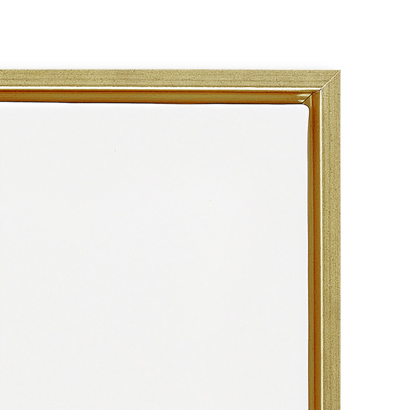 Egrets Color Pop Flowers 2 PC Framed Floater Canvas Set by Melissa Wang, Gold Floater Framed, 18" H x 18" W