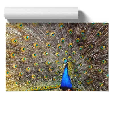 Peacock Painting - Frameless Print