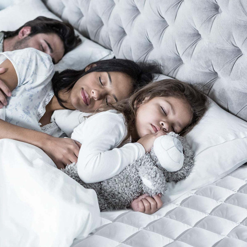 Housse de protection pour matelas imperméable et hypoallergénique Ankney Alwyn Home, Complète