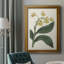 " Antique Botanical Collection X "-79630262