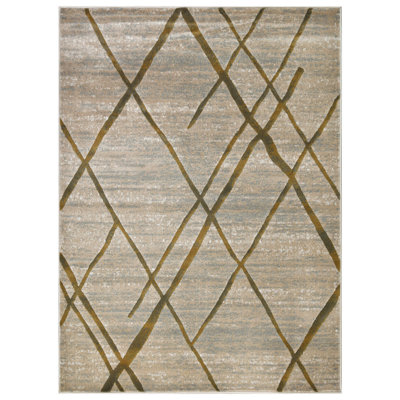 Indoor Rug