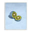 Giclée encadrée Kiwi Blue Glimmer, design par Lish Creative-130746808-130746811
