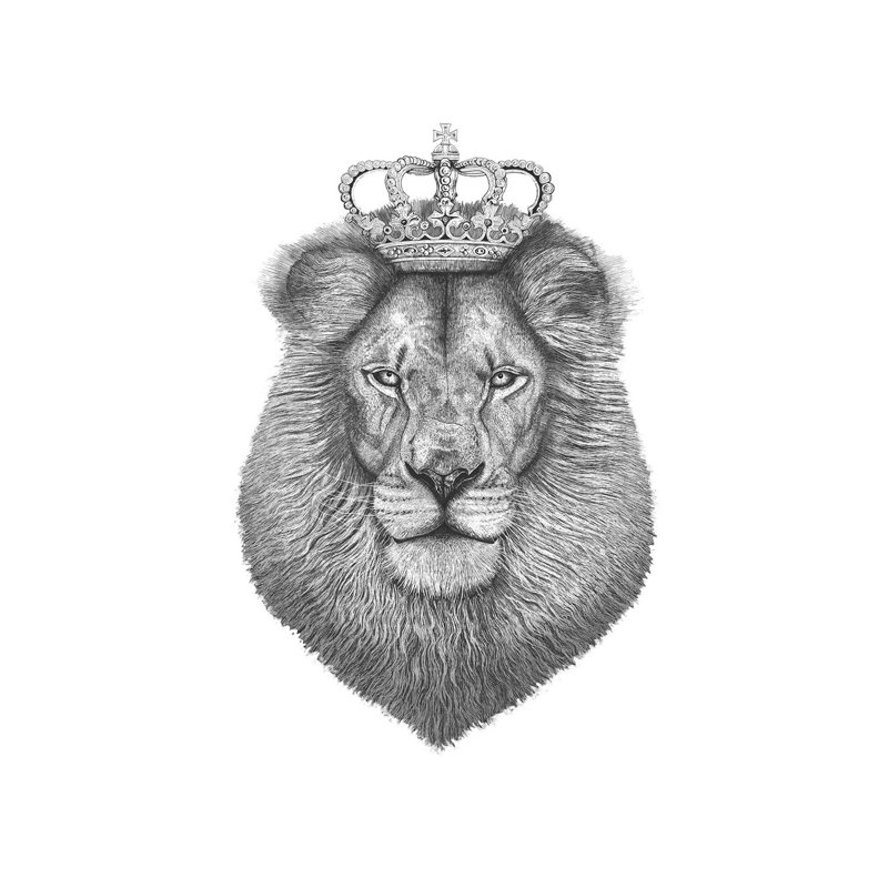 The Lion King by Valeriya Korenkova - Wrapped Canvas Print, 30.48cm H x 20.32cm W