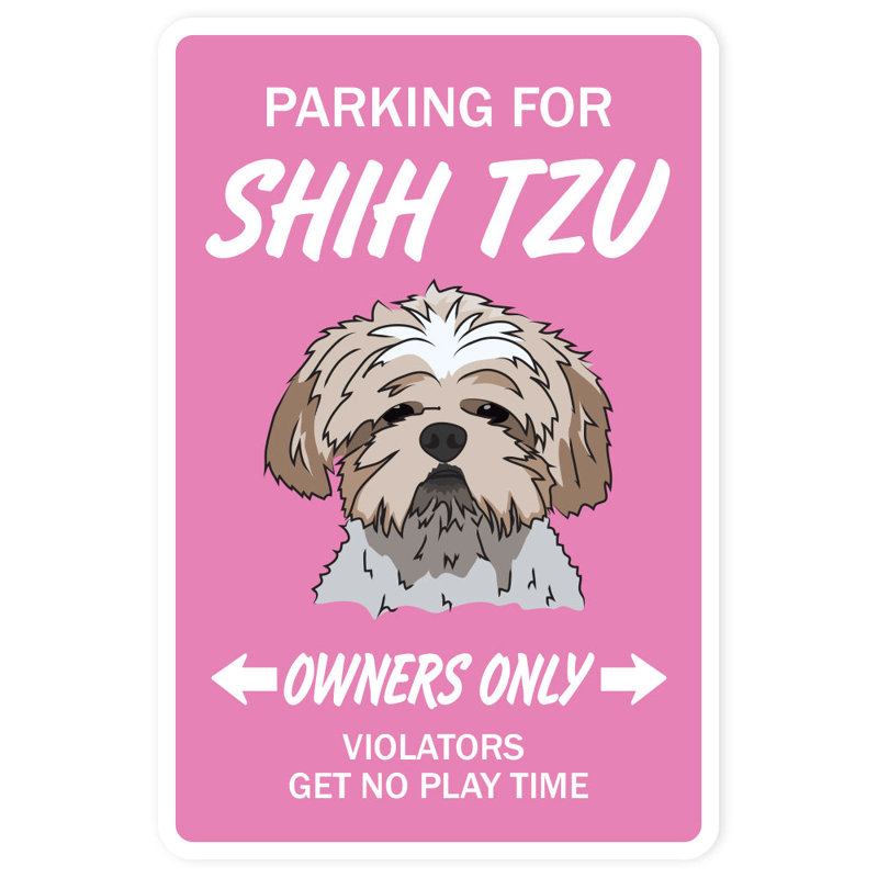 Shih Tzu