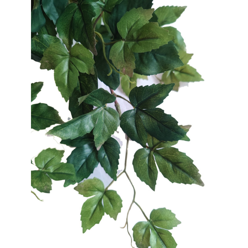 Buisson de luxe lierre érable suspendu X9
