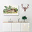 Black-Tailed Hare by J.W. Audubon - Wrapped Canvas-55371612