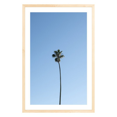 Plants & Flowers Print