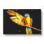 Yellow Macaw Parrot - Wrapped Canvas-56646460