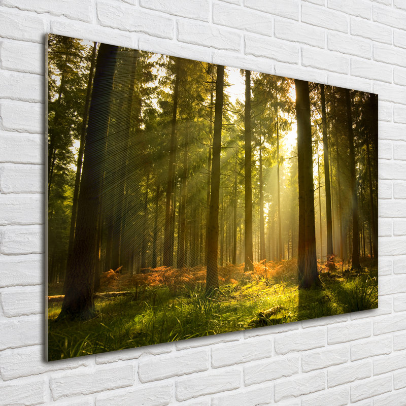 Forest in the Sun - Unframed Art Prints on Glass