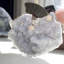 Cristal Casheena
