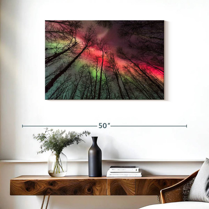 Alvord Fairbanks Forest Northern Lights, H 24 po x l 36 po