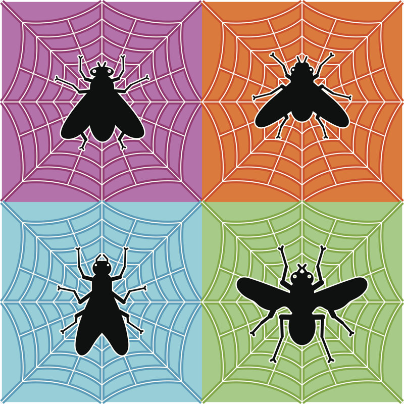 Berriman Flies In Spider's Web - Wrapped Canvas Print, 30cm H x 30cm W x 3.8cm D
